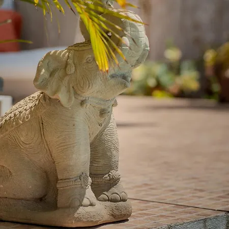 Διαμέρισμα With Private Pool & Ocean Views *