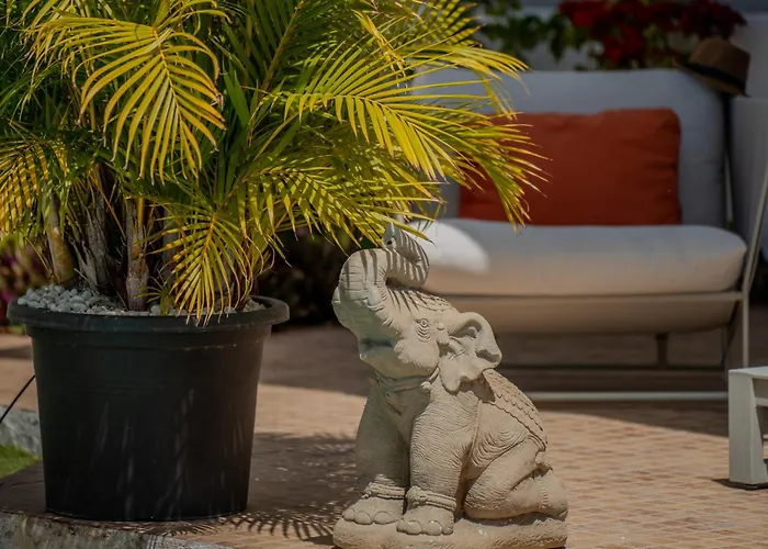 Apartament With Private Pool & Ocean Views