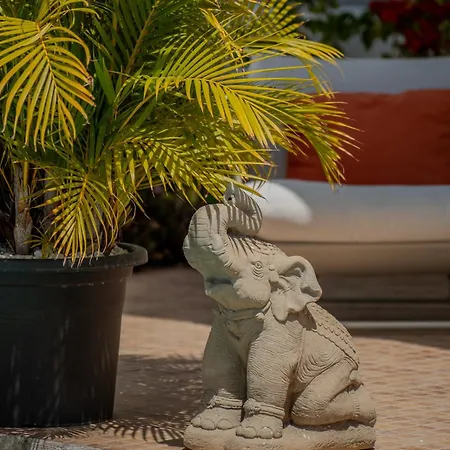 Apartment With Private Pool & Ocean Views