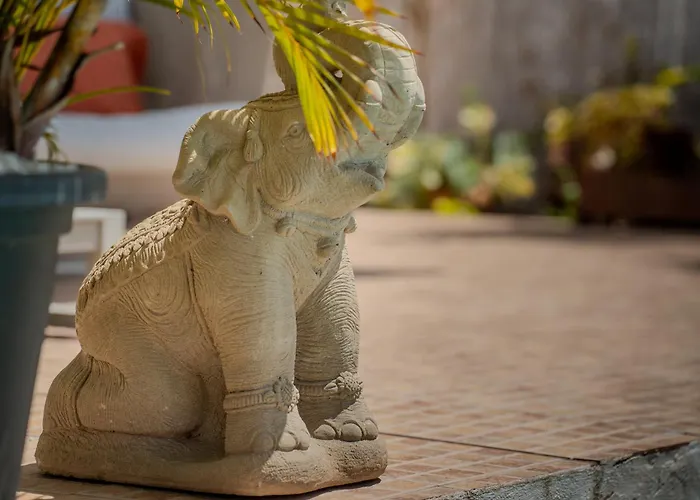 Apartamento With Private Pool & Ocean Views *